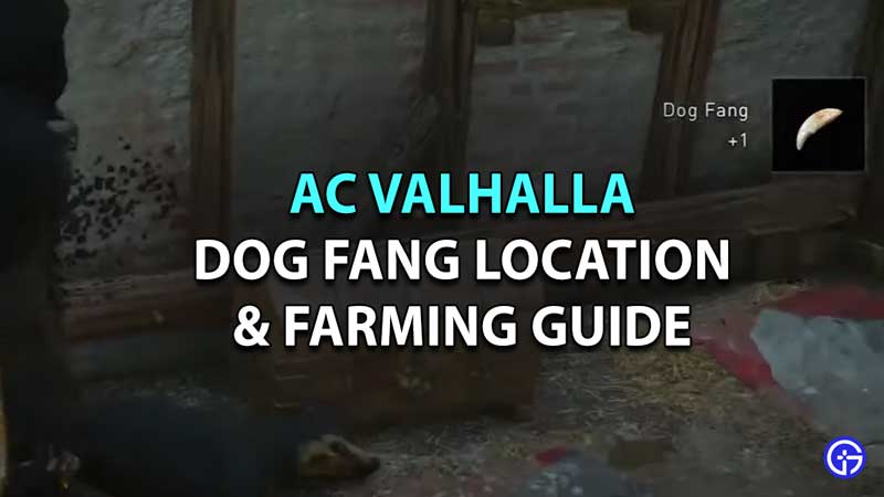 where to find dog fang assassins creed valhalla