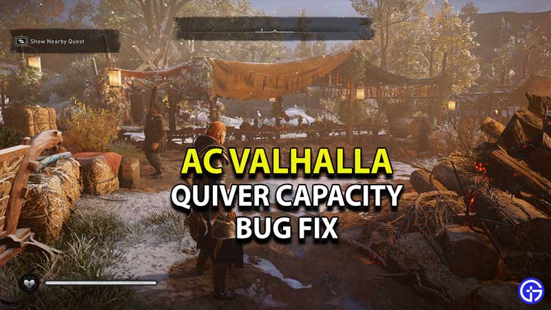 ac-valhalla-quiver-capacity-bug-fix