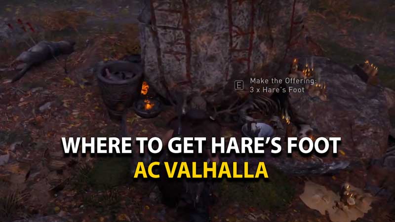 ac-valhalla-where-to-get-hares-foot-location