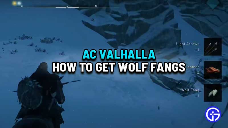 ac-valhalla-wolf-fangs-location