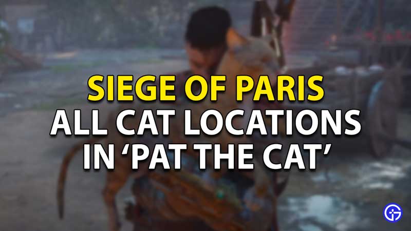 all cat locations pat the cat ac valhalla siege of paris