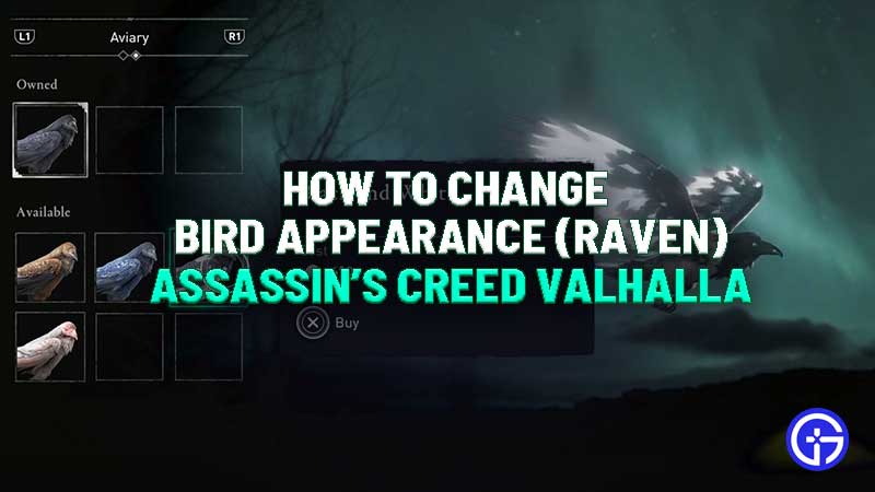 assassins-creed-valhalla-how-to-change-bird-appearance