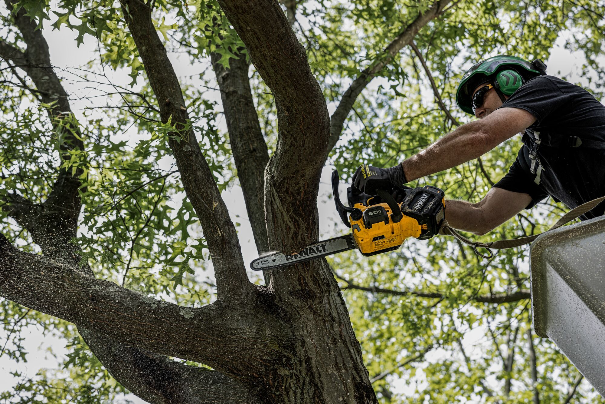 DEWALT Top Handle Chainsaw being used at height by man to cut tree limb from a tree. 