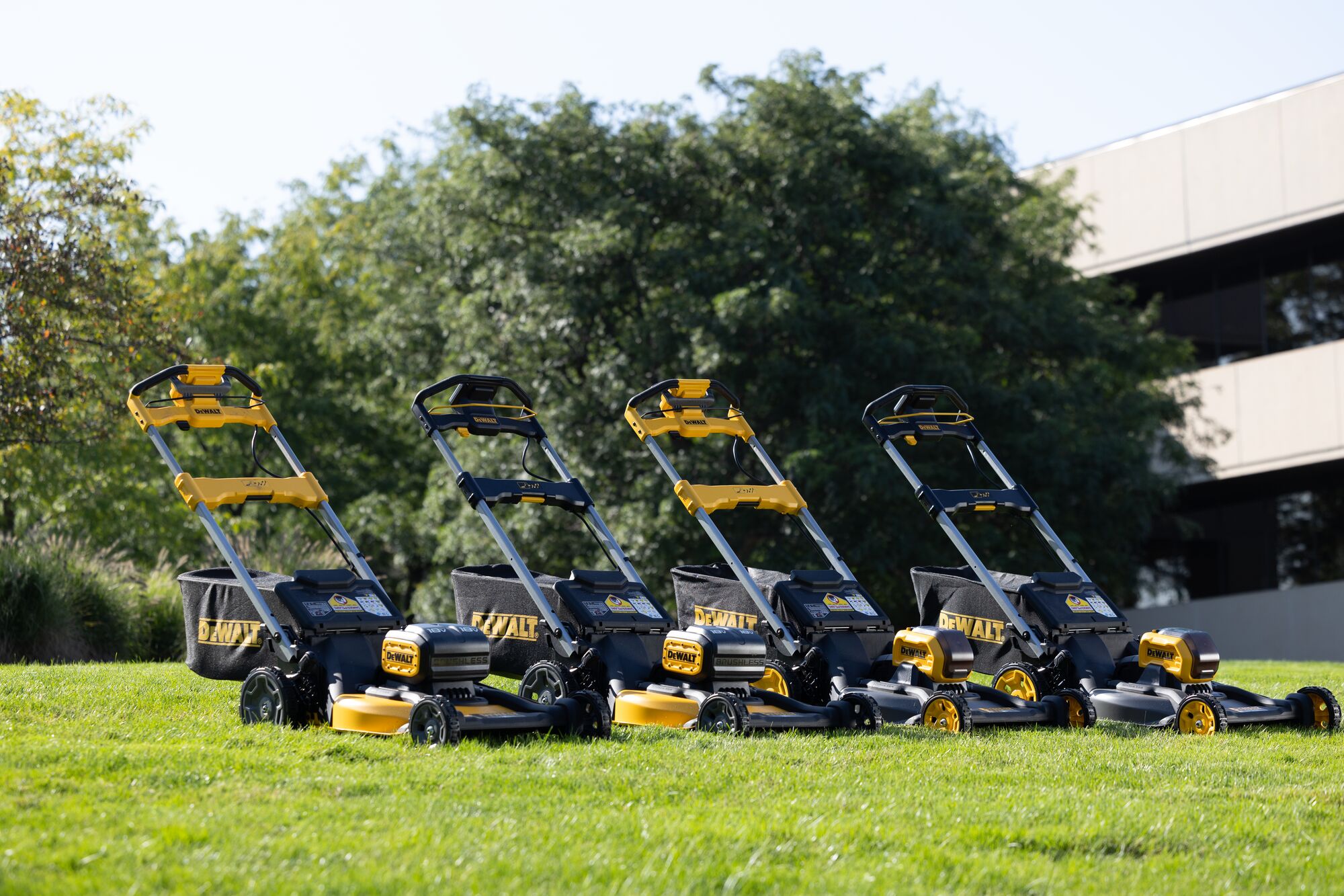 Dewalt lawn mowers DCMWP134, DCMWSP156, DCMWP500 and DCMWSP550 on grass