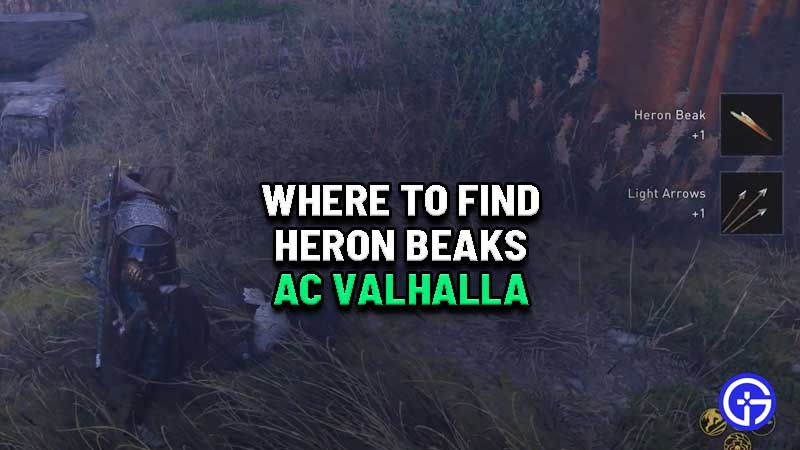 how-to-get-heron-beaks-ac-valhalla