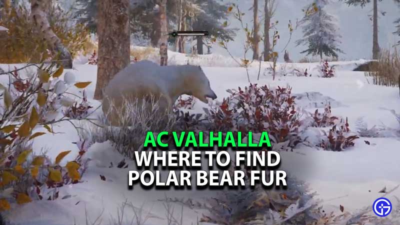 how-to-get-polar-bear-fur-valhalla