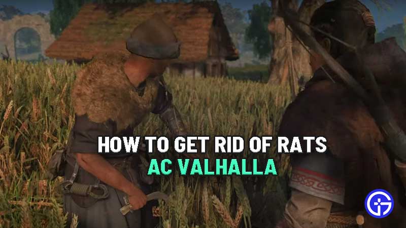 how-to-get-rid-of-rats-problem-ac-valhalla