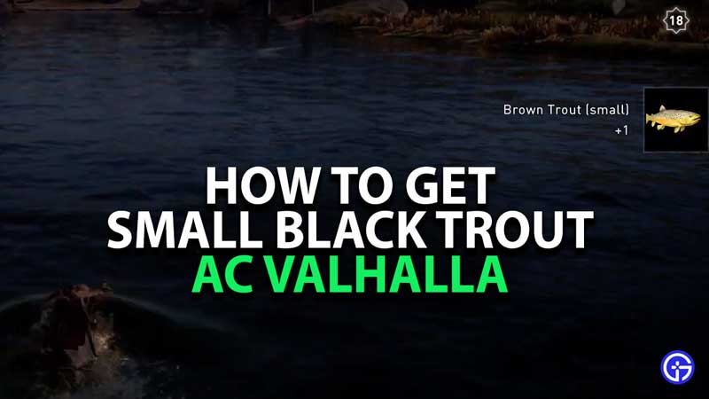 how-to-get-small-black-trout-assassins-creed-valhalla