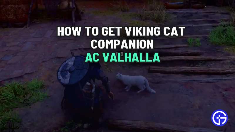 how-to-get-viking-cat-companion-ac-valhalla