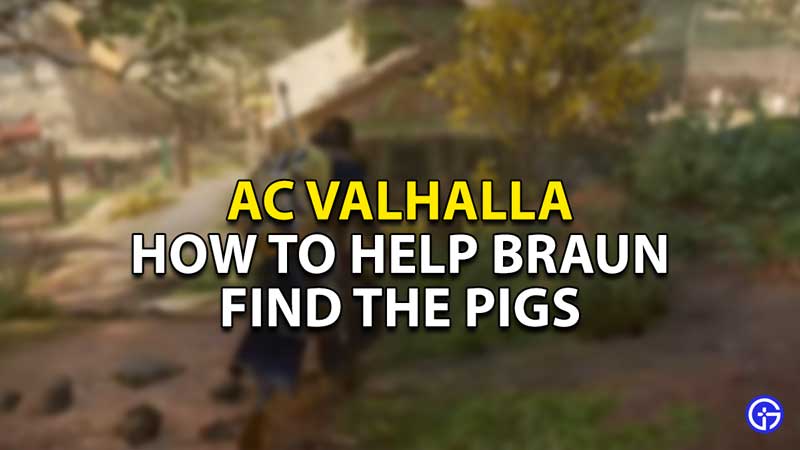 how to help braun find pigs ac valhalla