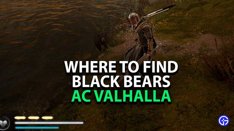 where-to-find-black-bears-fur-assassins-creed-ac-valhalla