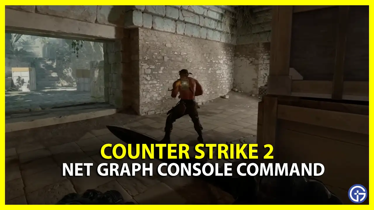 CS2 Net Graph Console Command